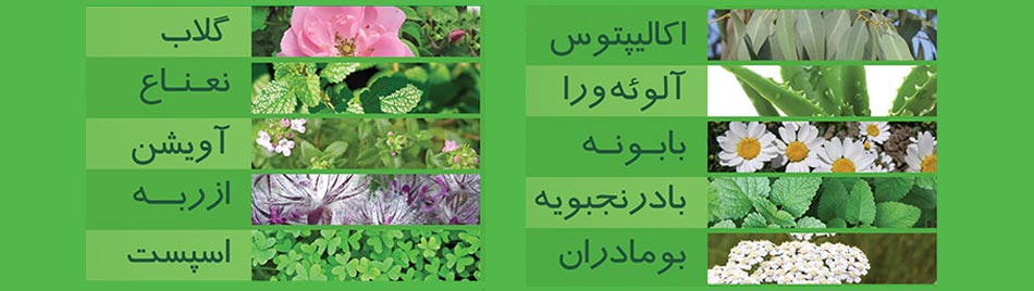  گره بان